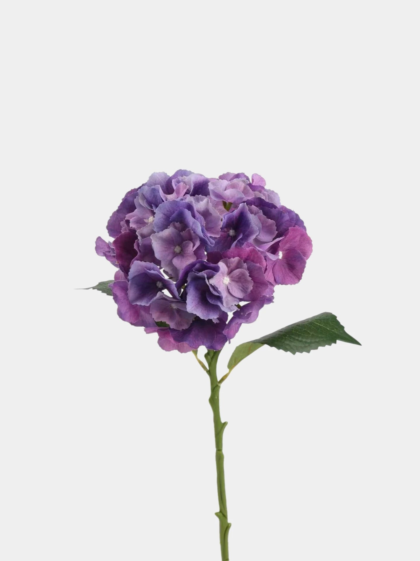 Real Touch Maillard Hydrangea Flower Stem – 20"/52cm