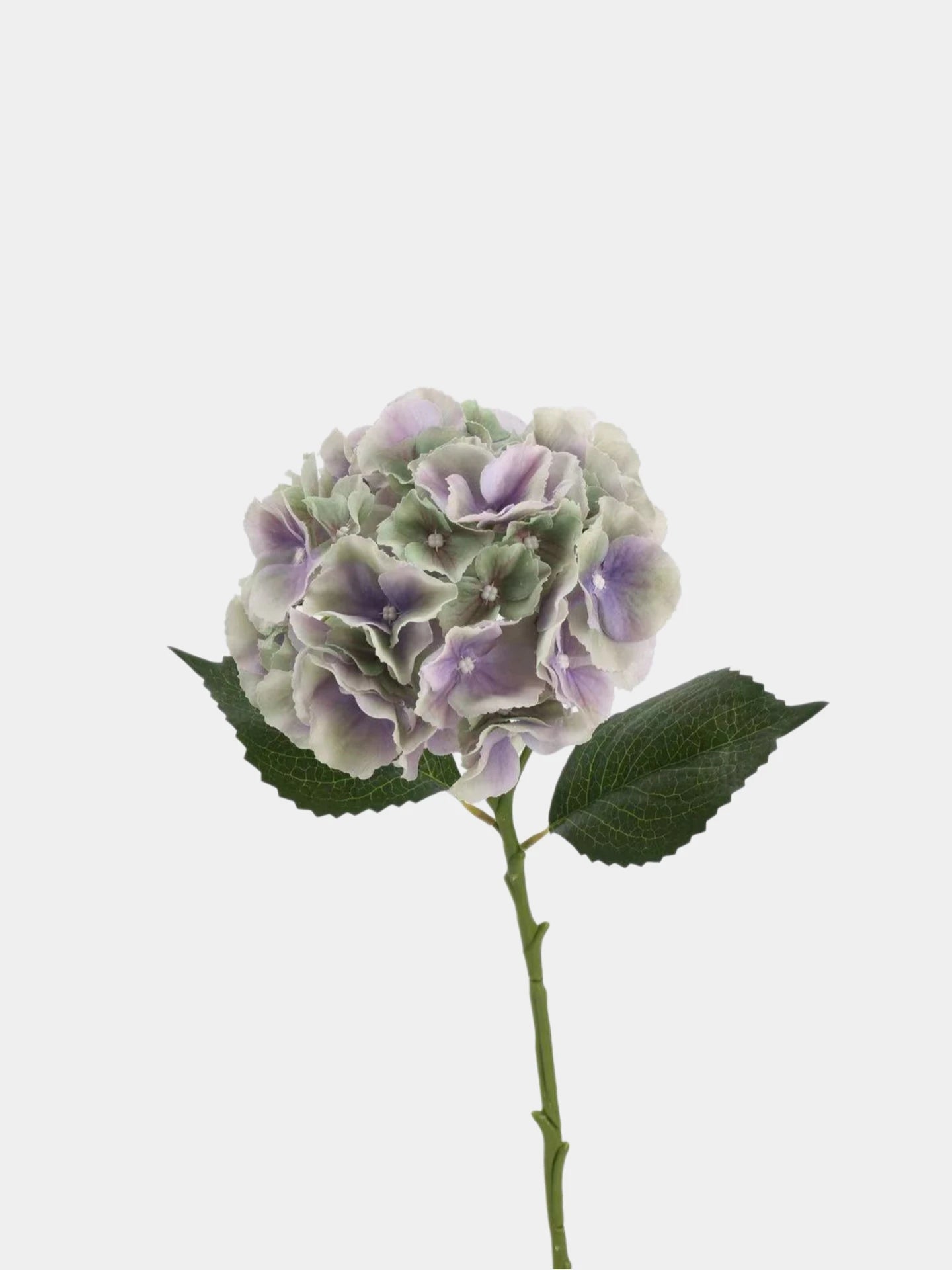 Real Touch Maillard Hydrangea Flower Stem – 20"/52cm