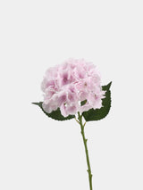 Real Touch Maillard Hydrangea Flower Stem – 20"/52cm
