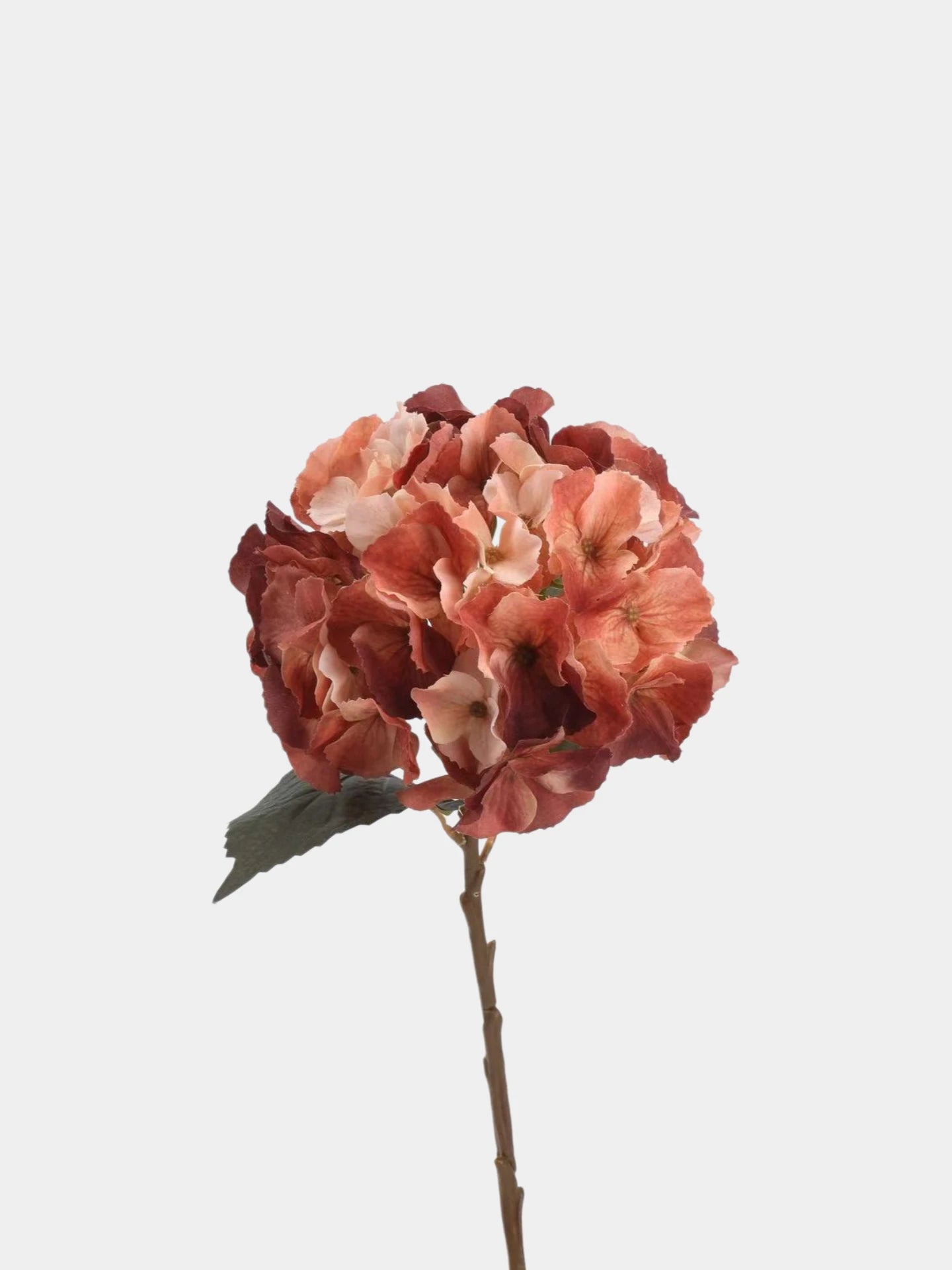 Real Touch Maillard Hydrangea Flower Stem – 20"/52cm