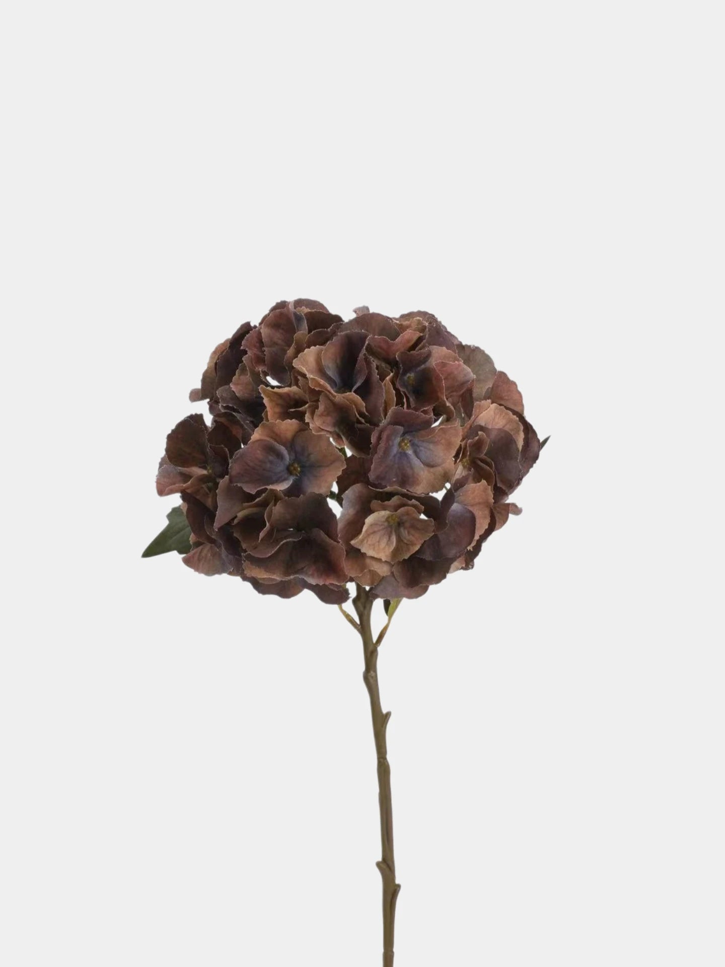 Real Touch Maillard Hydrangea Flower Stem – 20"/52cm
