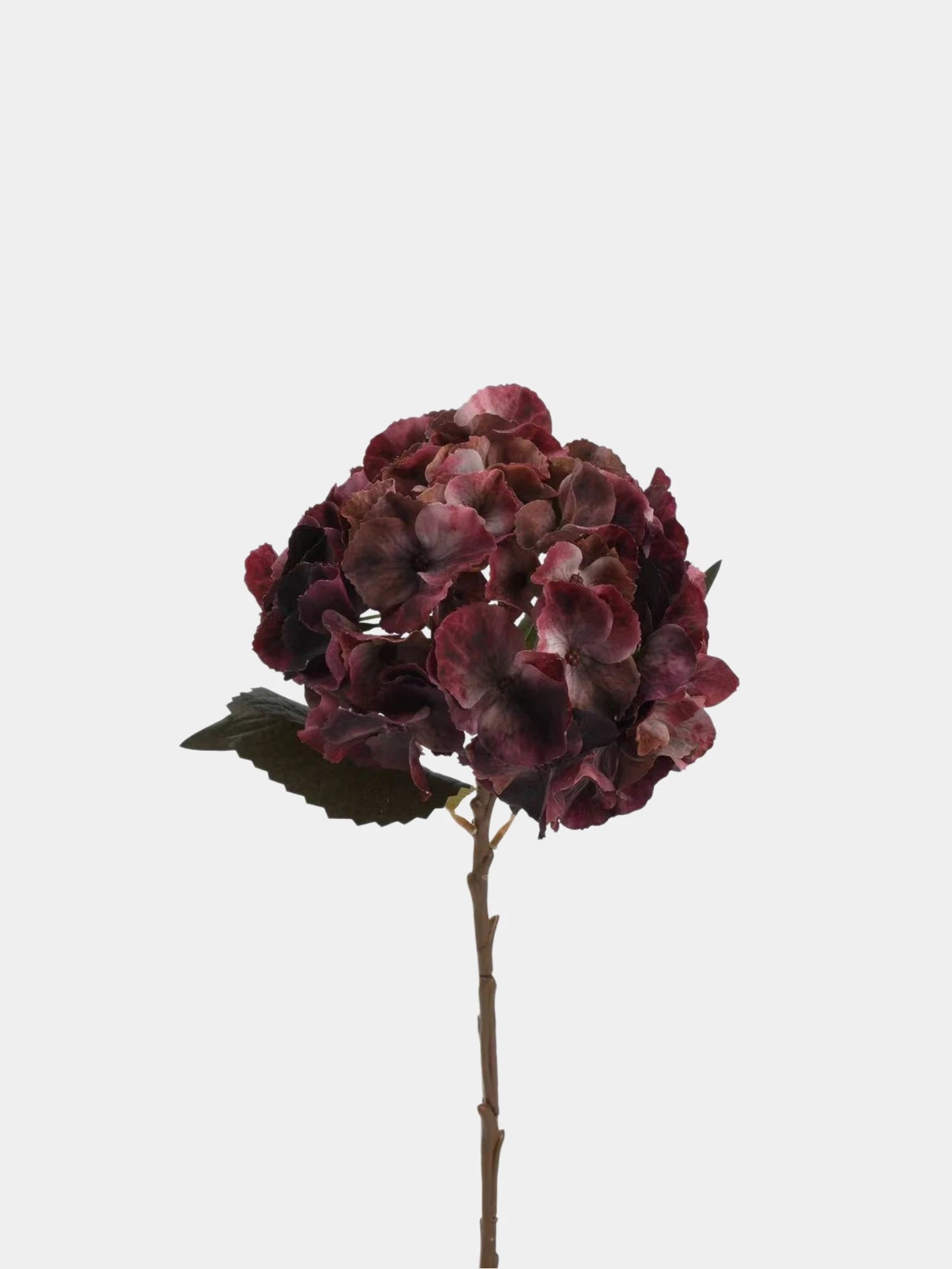 Real Touch Maillard Hydrangea Flower Stem – 20"/52cm