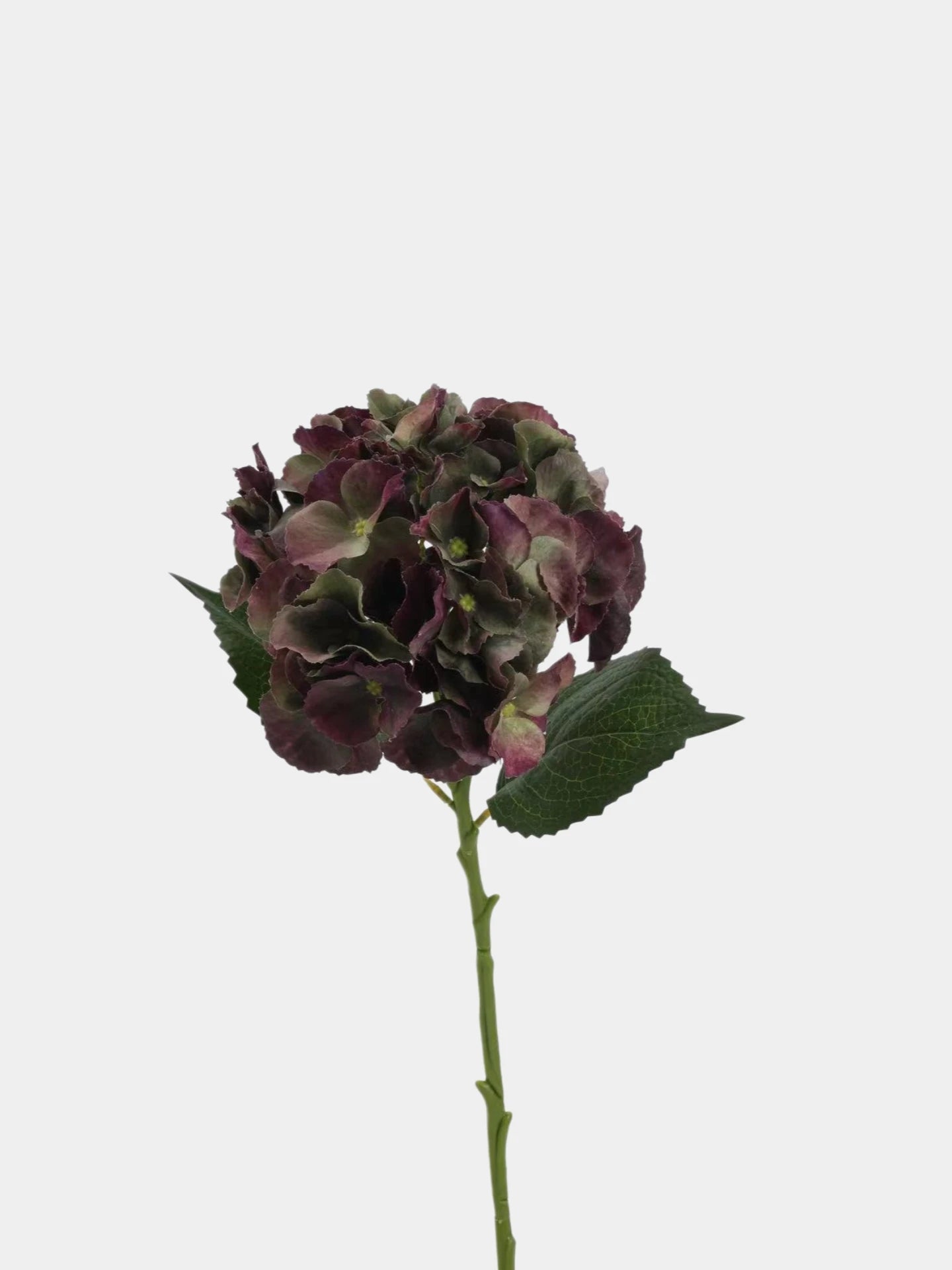 Real Touch Maillard Hydrangea Flower Stem – 20"/52cm