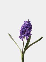 Real Touch New Zealand Hyacinth Stem– 16"