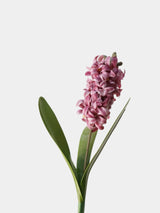 Real Touch New Zealand Hyacinth Stem– 16"