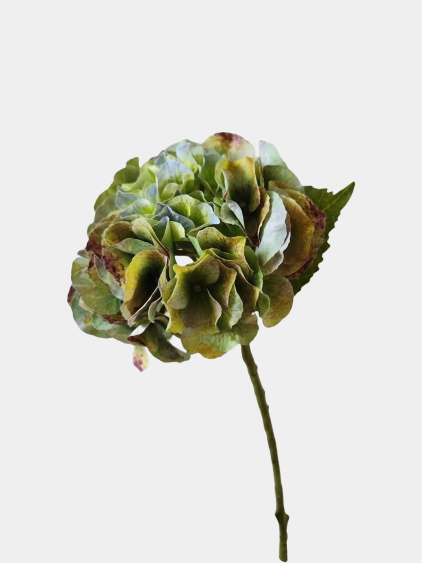 リアルタッチ 薄紫色のアジサイ ステム-21"