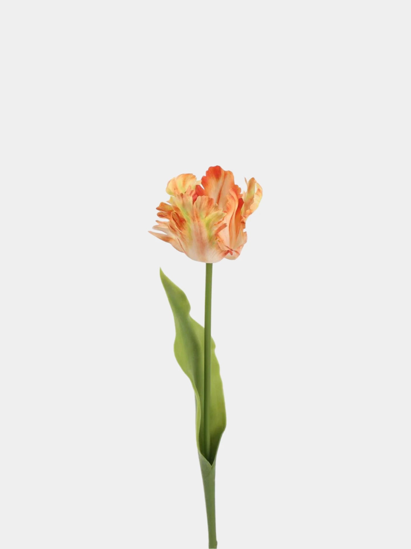 Real Touch Parrot Tulip Flower Stem