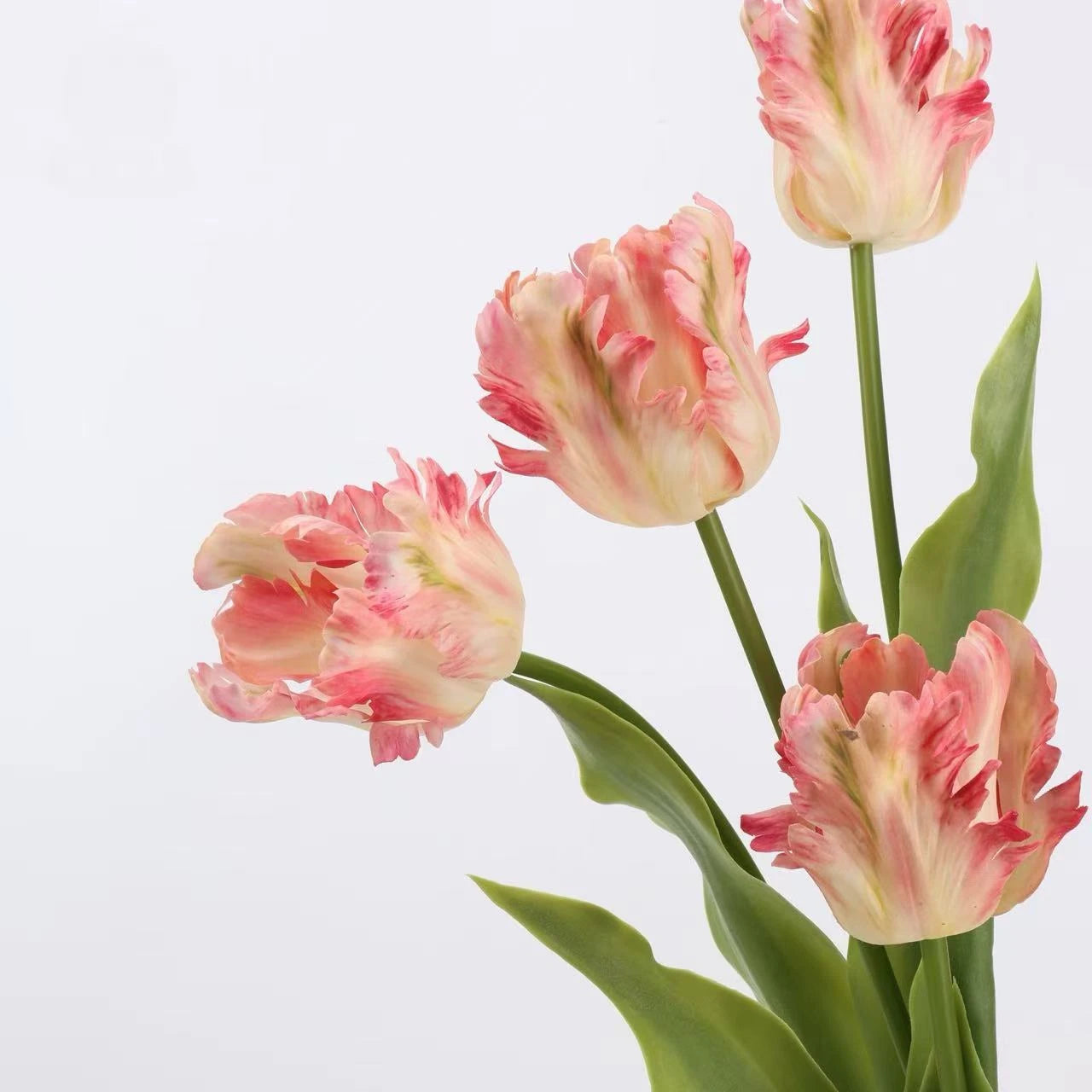 Real Touch Parrot Tulip Flower Stem