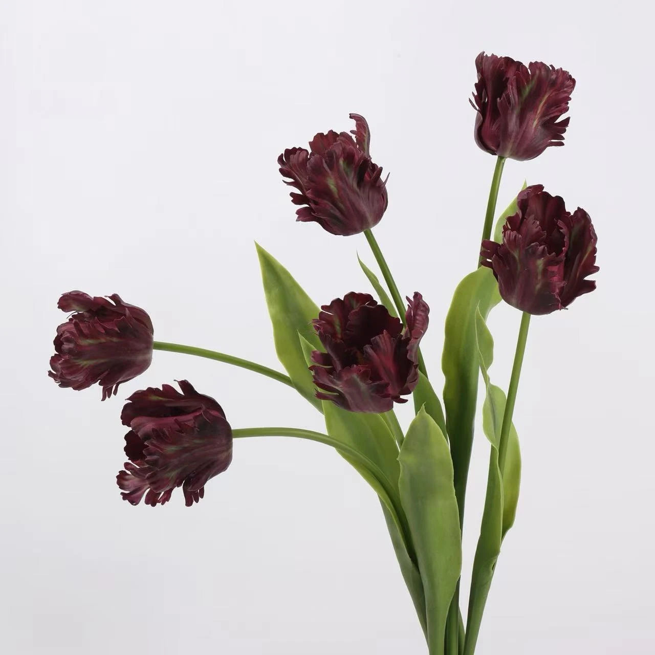 Real Touch Parrot Tulip Flower Stem