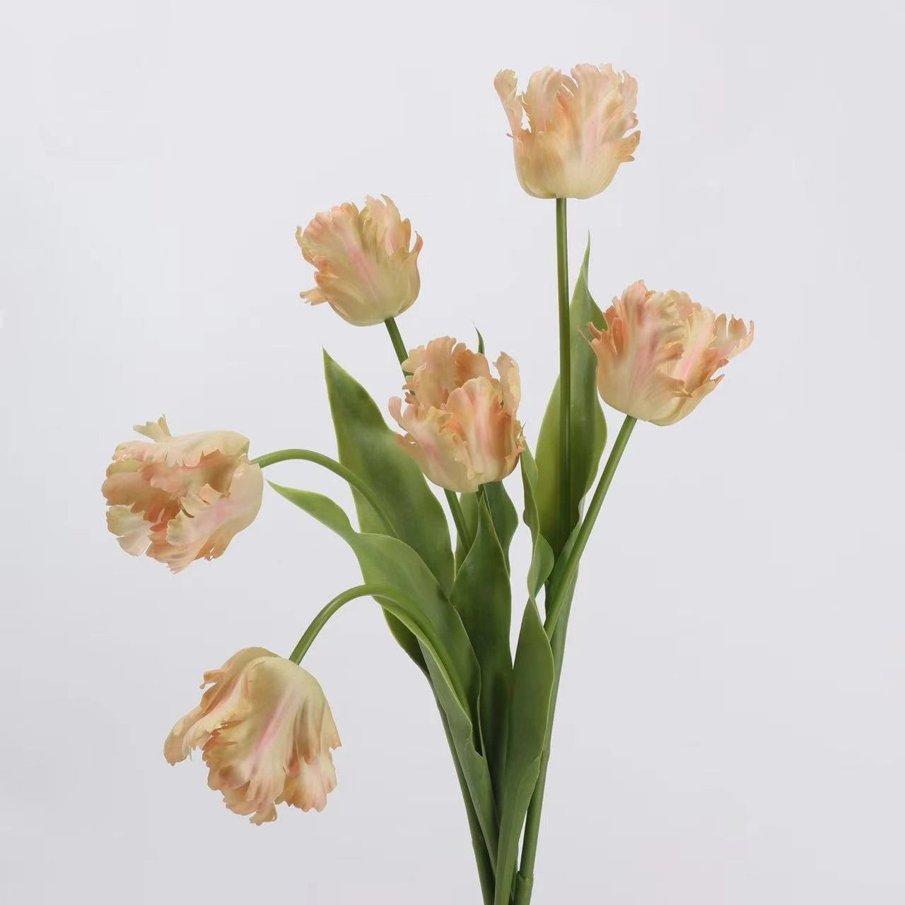 Real Touch Parrot Tulip Flower Stem