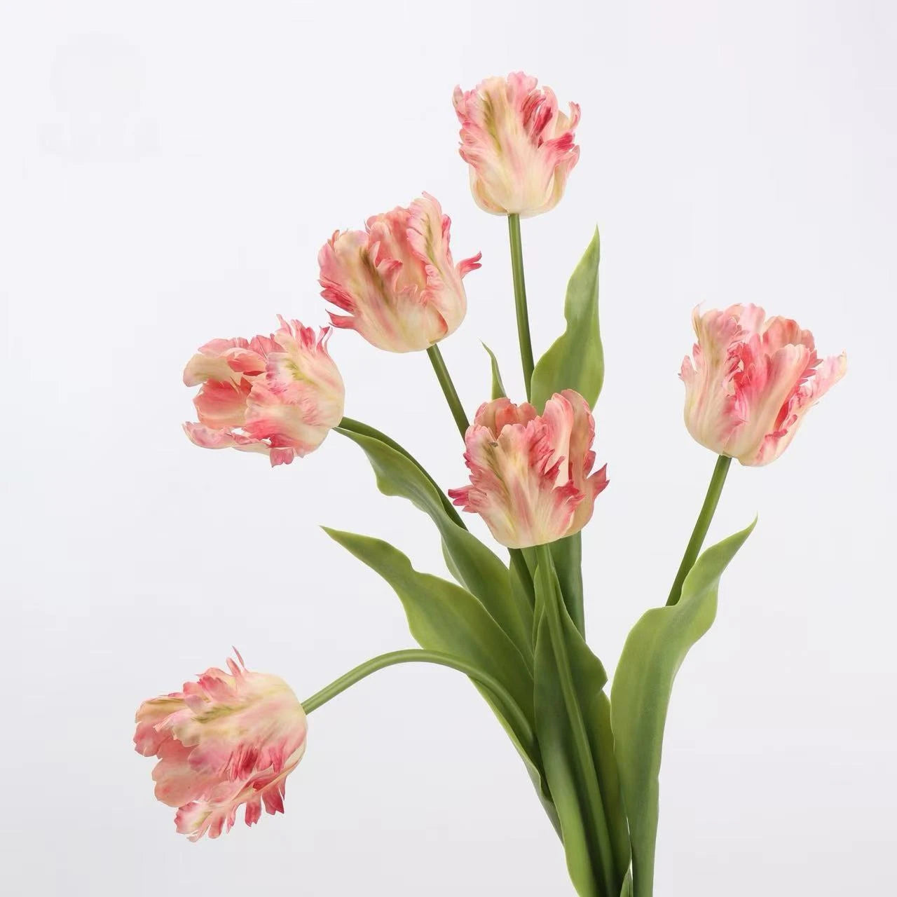 Real Touch Parrot Tulip Flower Stem