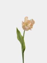 Real Touch Parrot Tulip Flower Stem