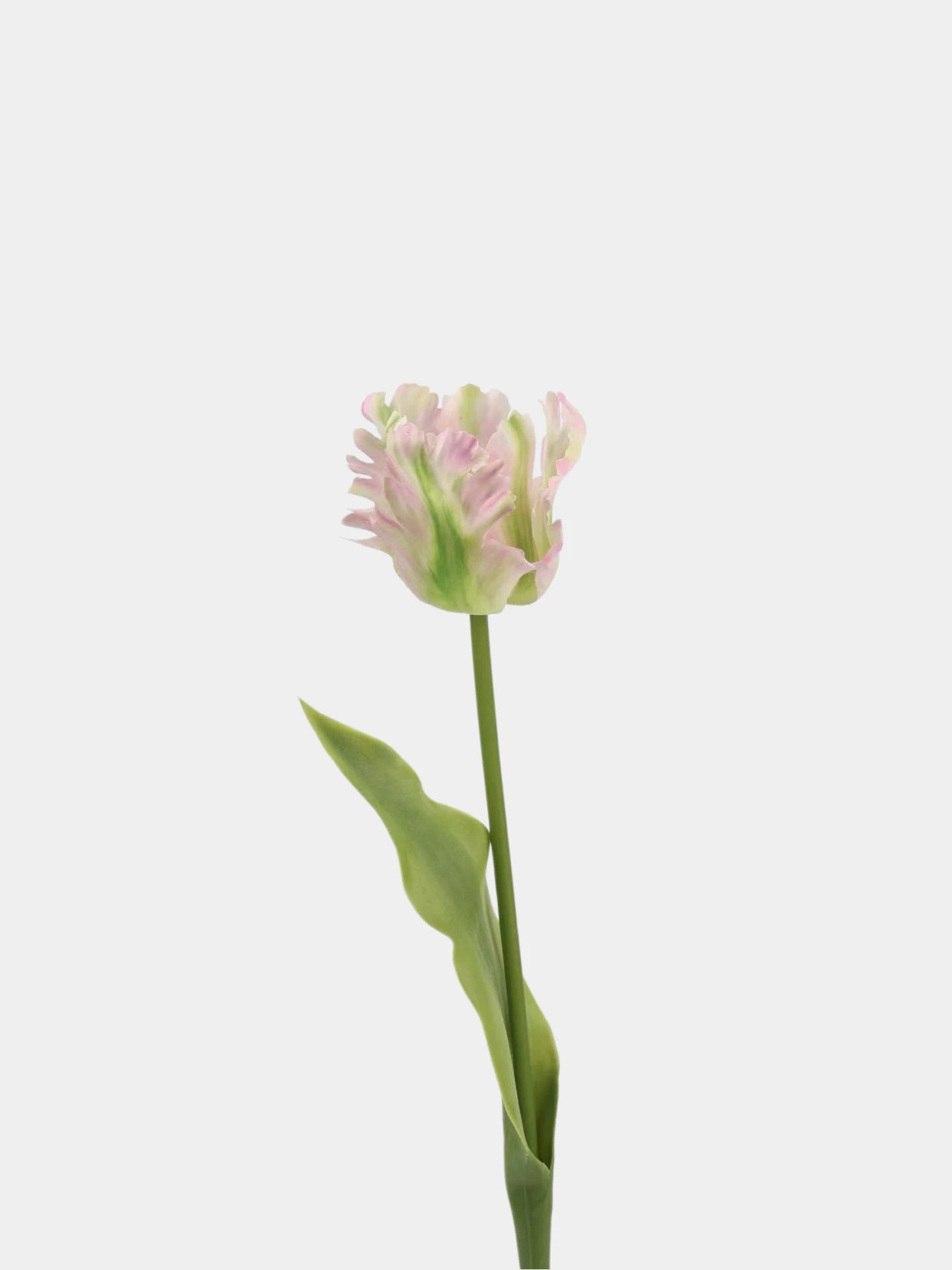 Real Touch Parrot Tulip Flower Stem
