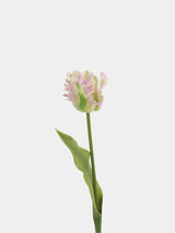 Real Touch Parrot Tulip Flower Stem
