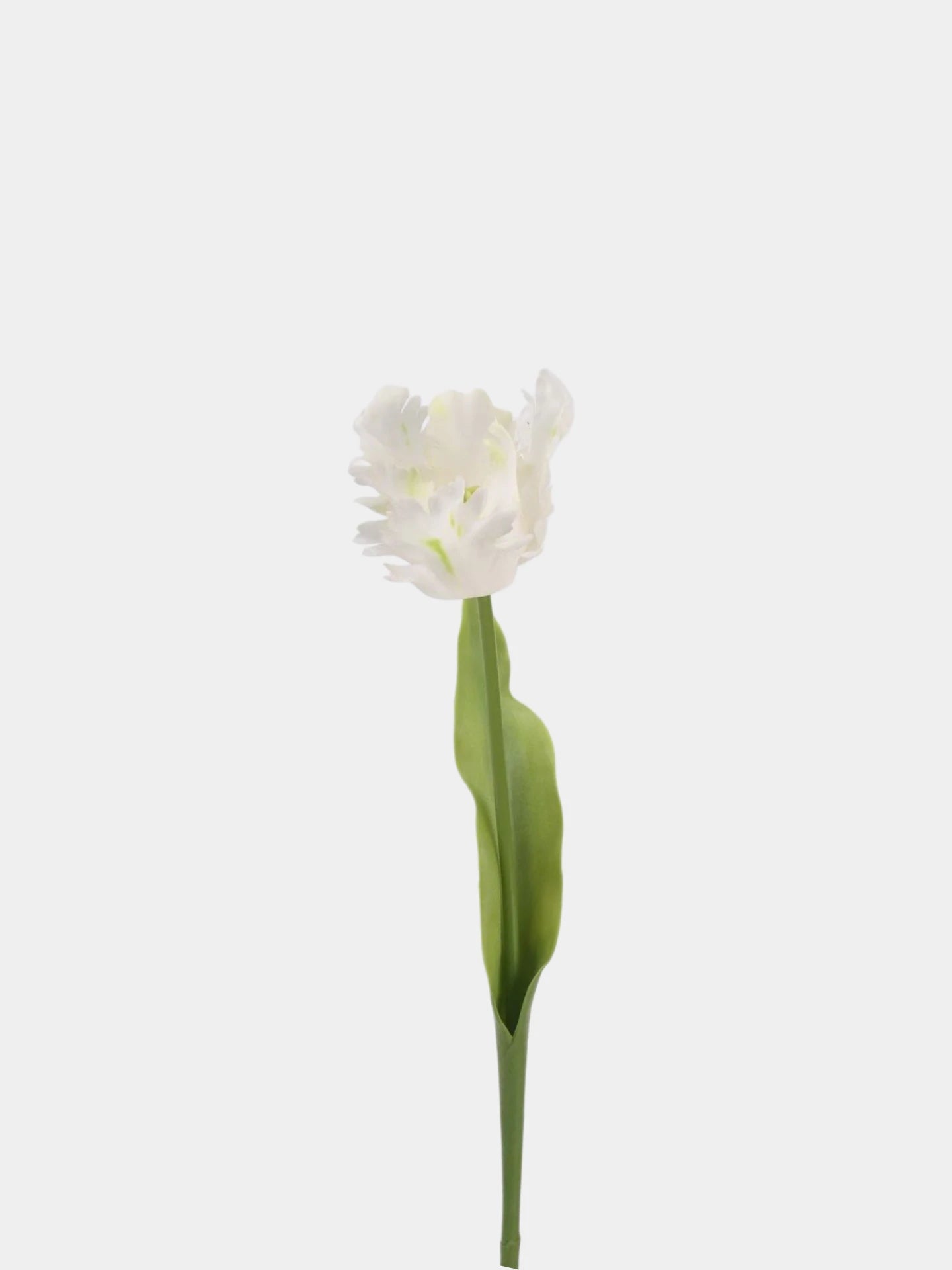 Real Touch Parrot Tulip Flower Stem