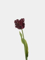 Real Touch Parrot Tulip Flower Stem