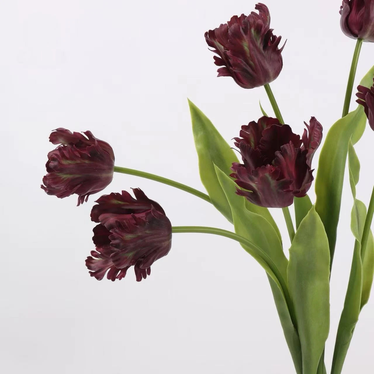 Real Touch Parrot Tulip Flower Stem