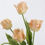 Real Touch Parrot Tulip Flower Stem