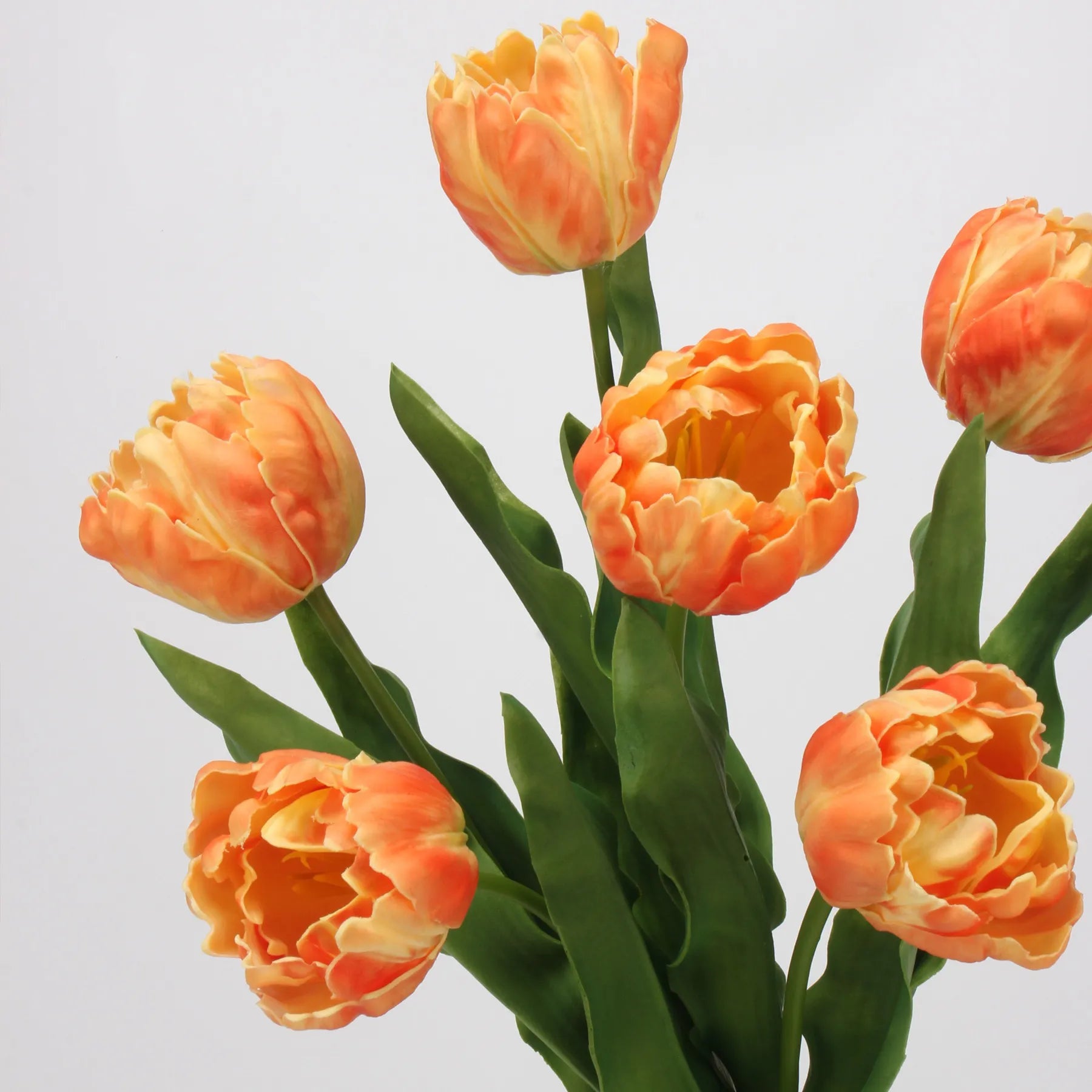 Echte Haptik Papageien-Tulpe – Orange 60 cm
