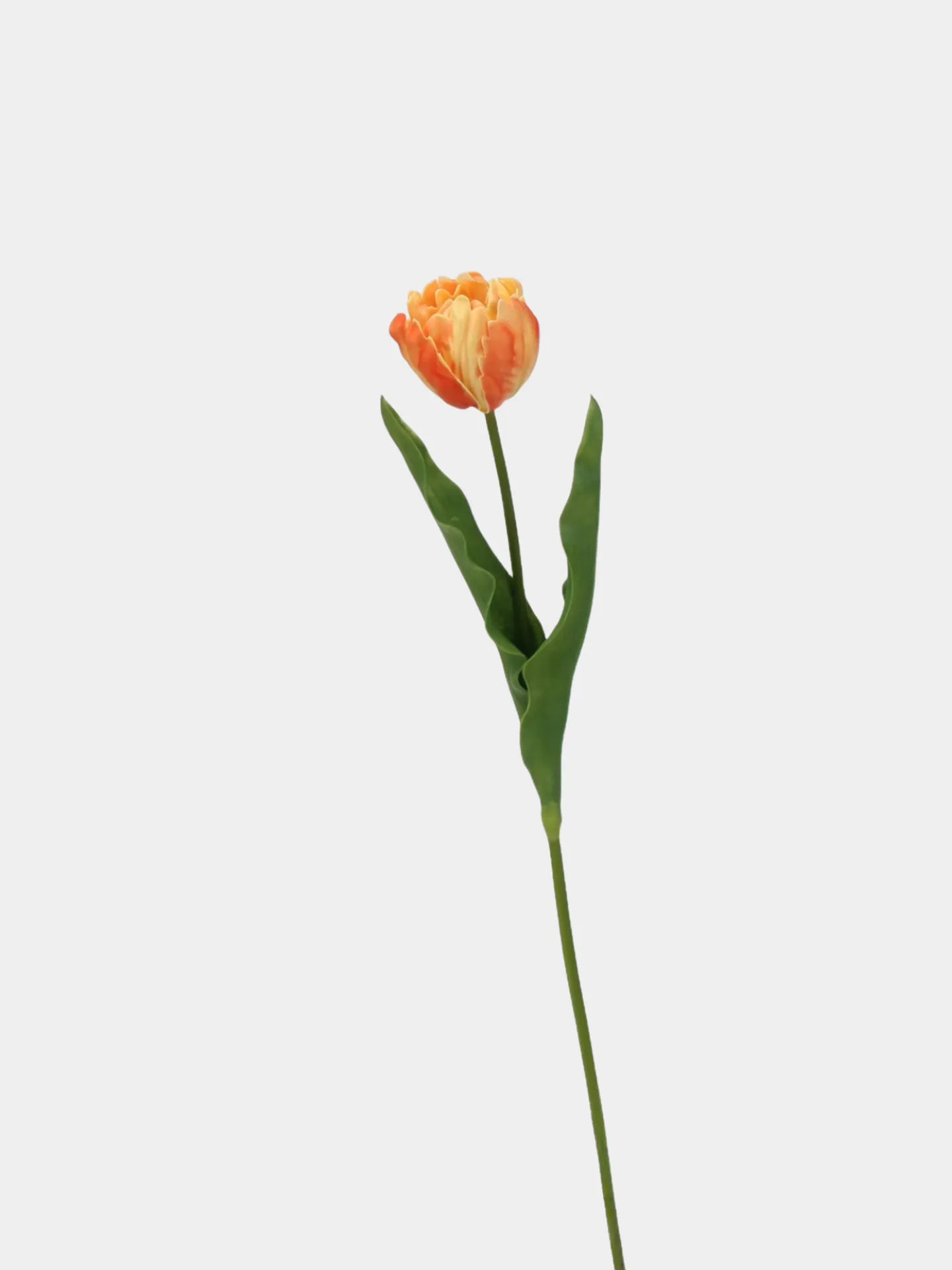 Real Touch Parrot Tulip Flower – Orange 23.6"