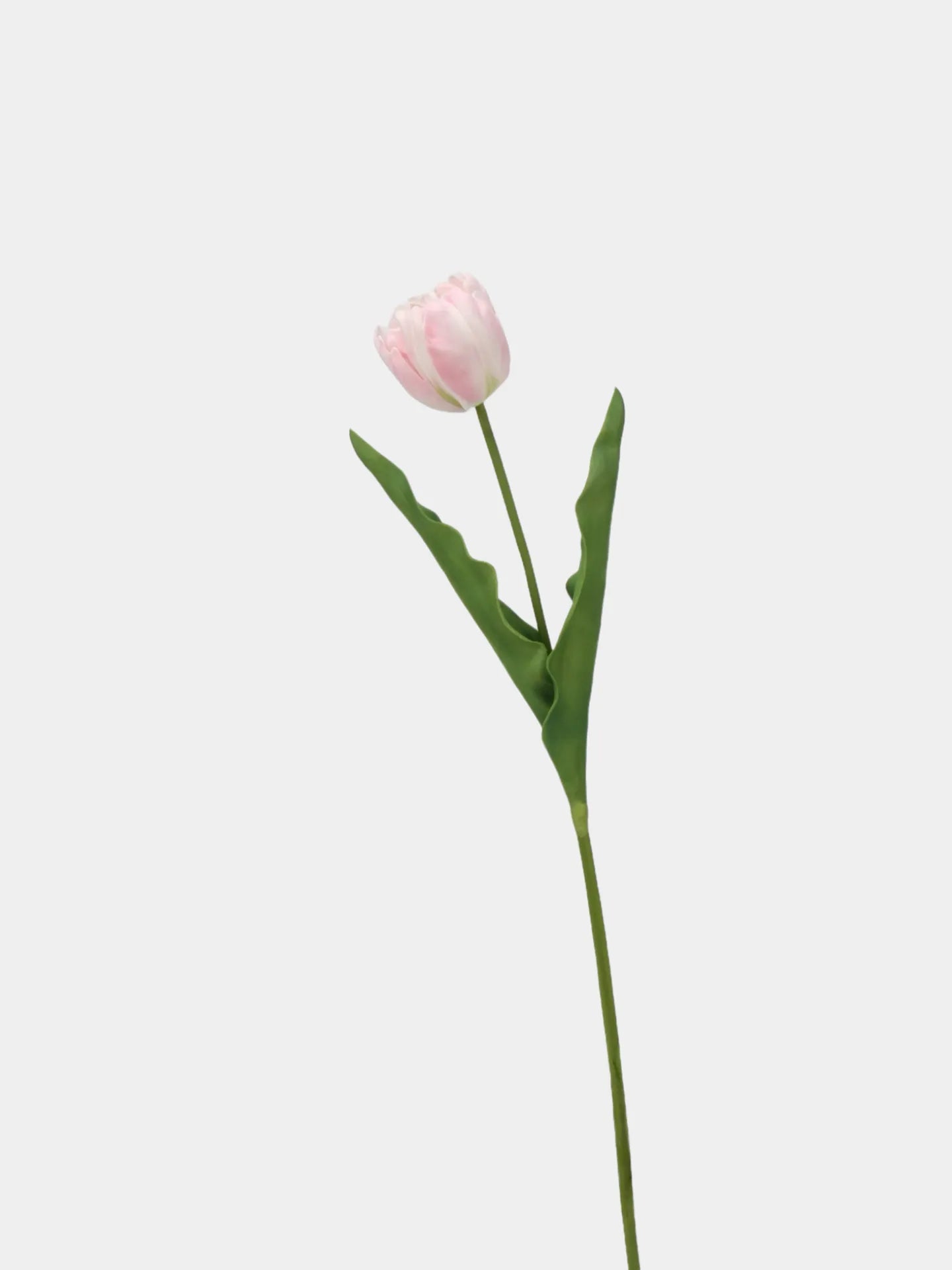 Real Touch Papageien-Tulpenblüte – Pink 60cm
