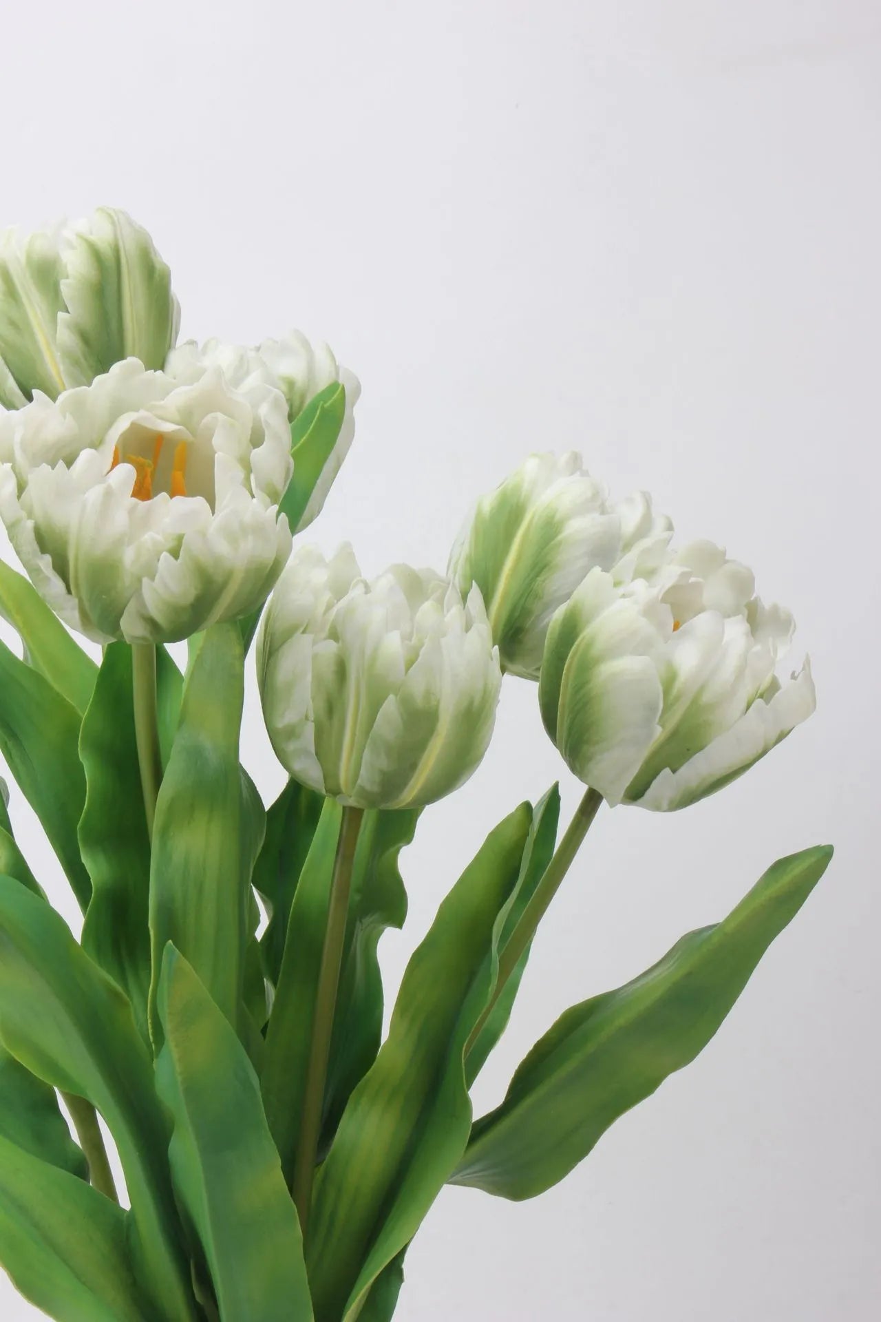 Real Touch Parrot Tulip Flower – White/Green 23.6"