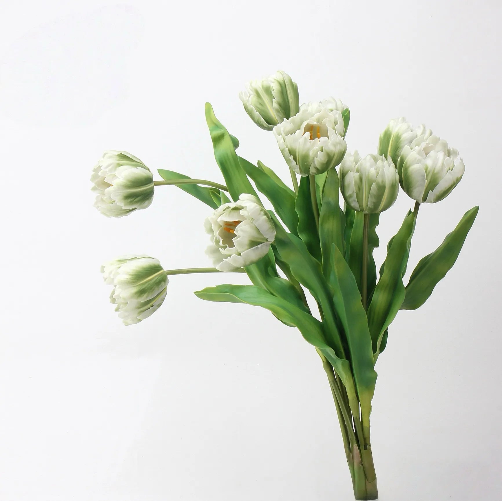 Real Touch Parrot Tulip Flower – White/Green 23.6"