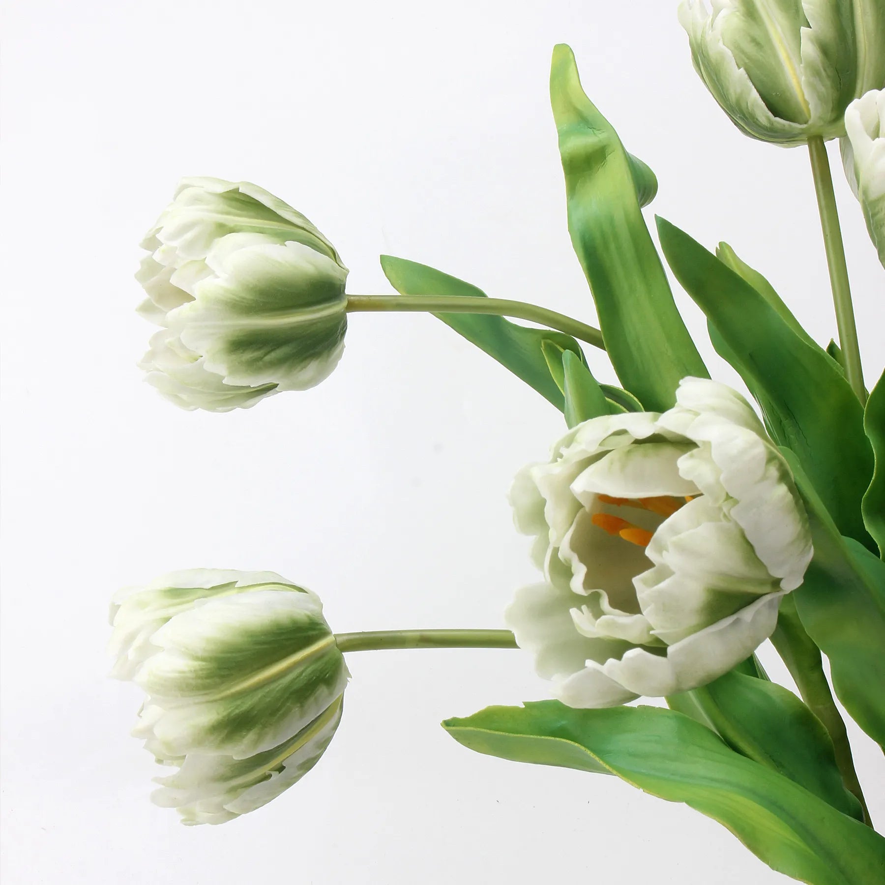 Real Touch Parrot Tulip Flower – White/Green 23.6"