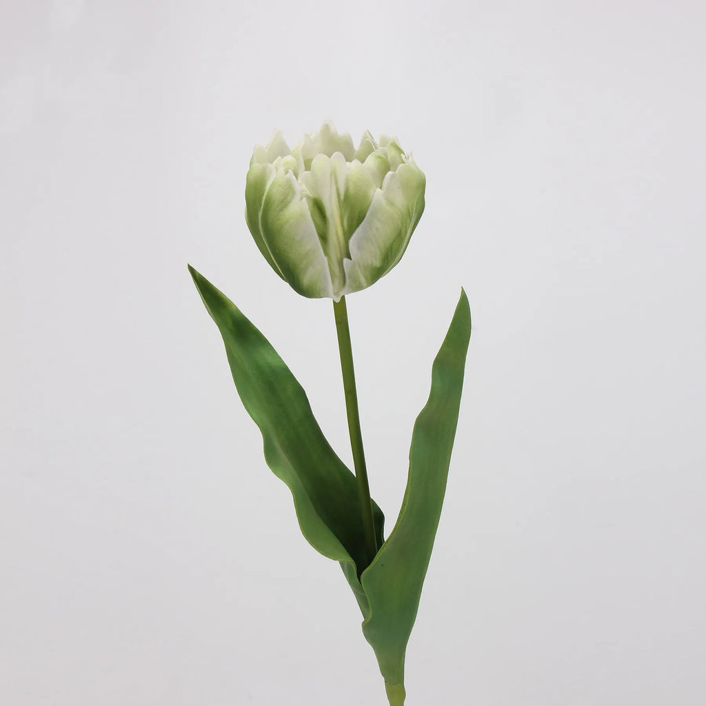 Real Touch Parrot Tulip Flower – White/Green 23.6"