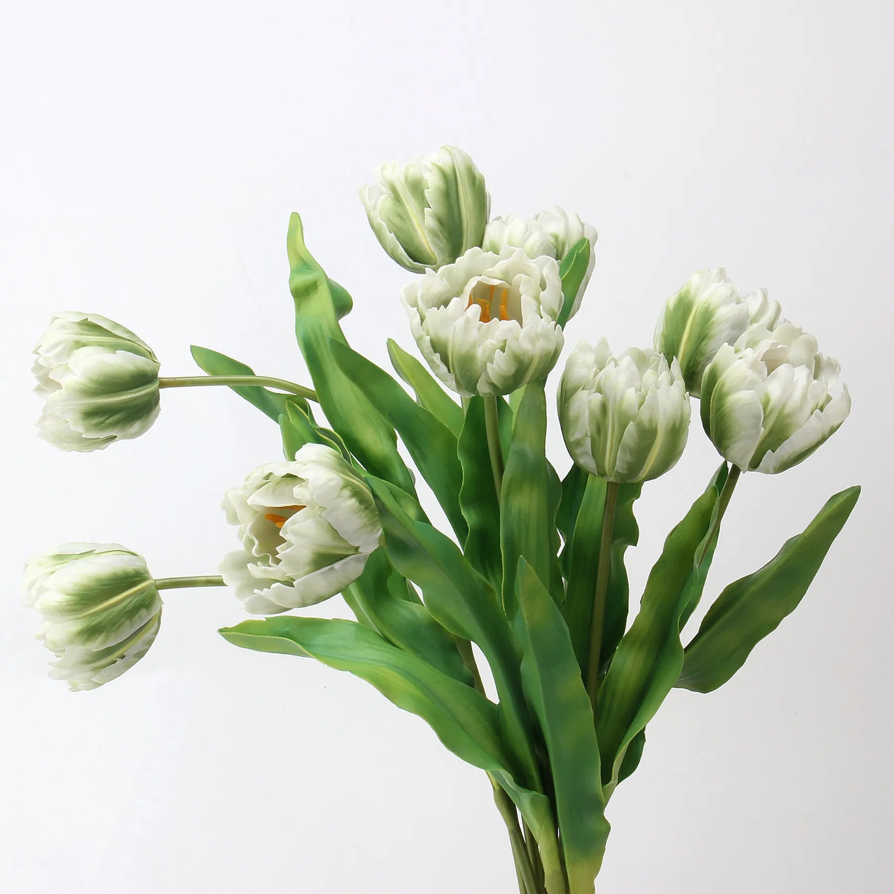 Real Touch Parrot Tulip Flower – White/Green 23.6"
