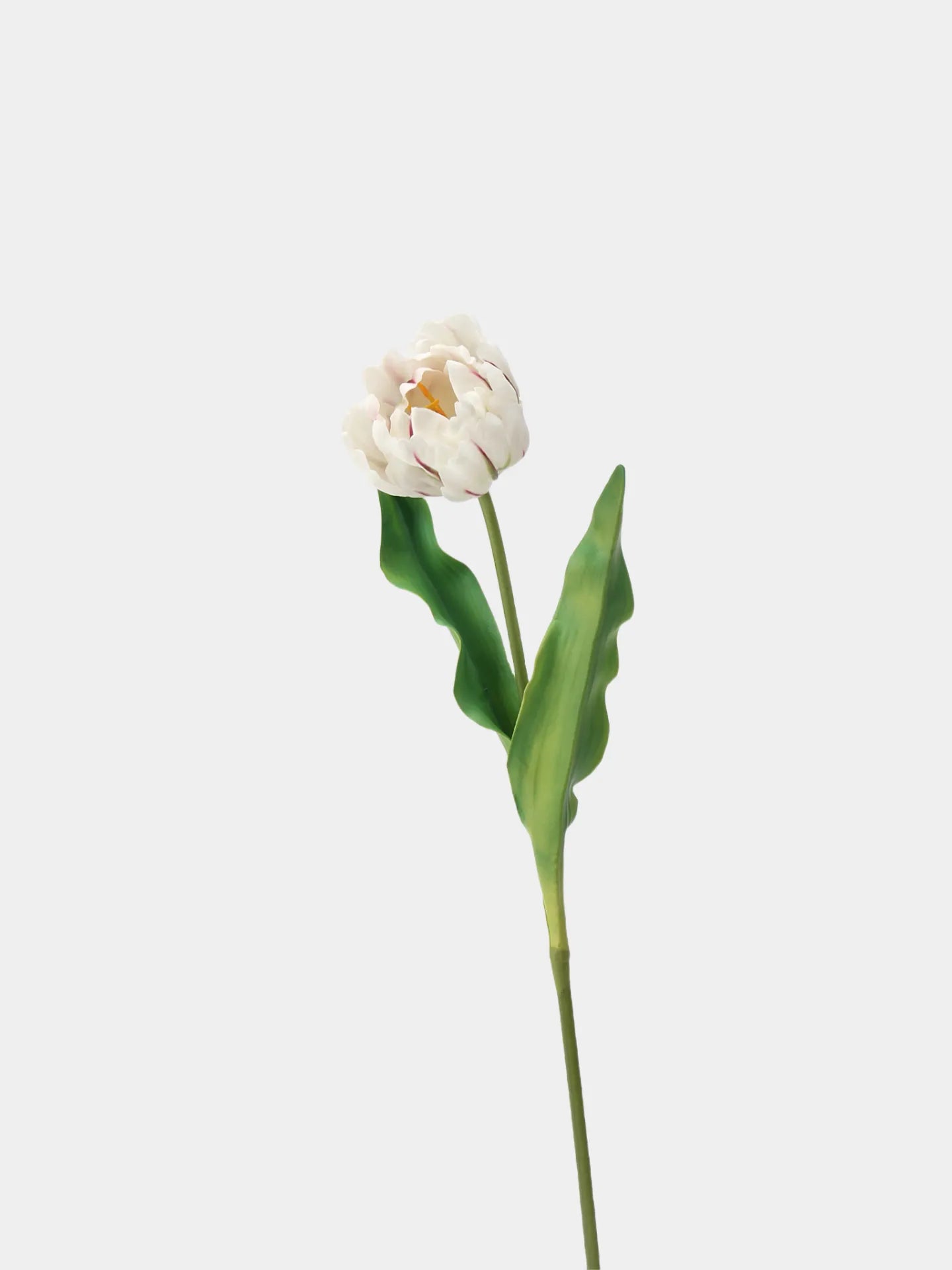 Real Touch Parrot Tulip Flower – White 23.6"