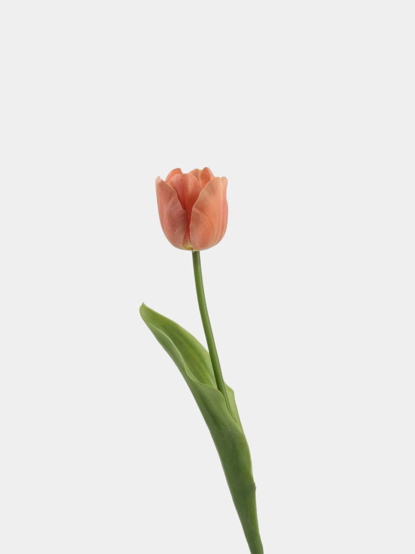 Real Touch Petite Tulip Flower Stem – 17"/42cm