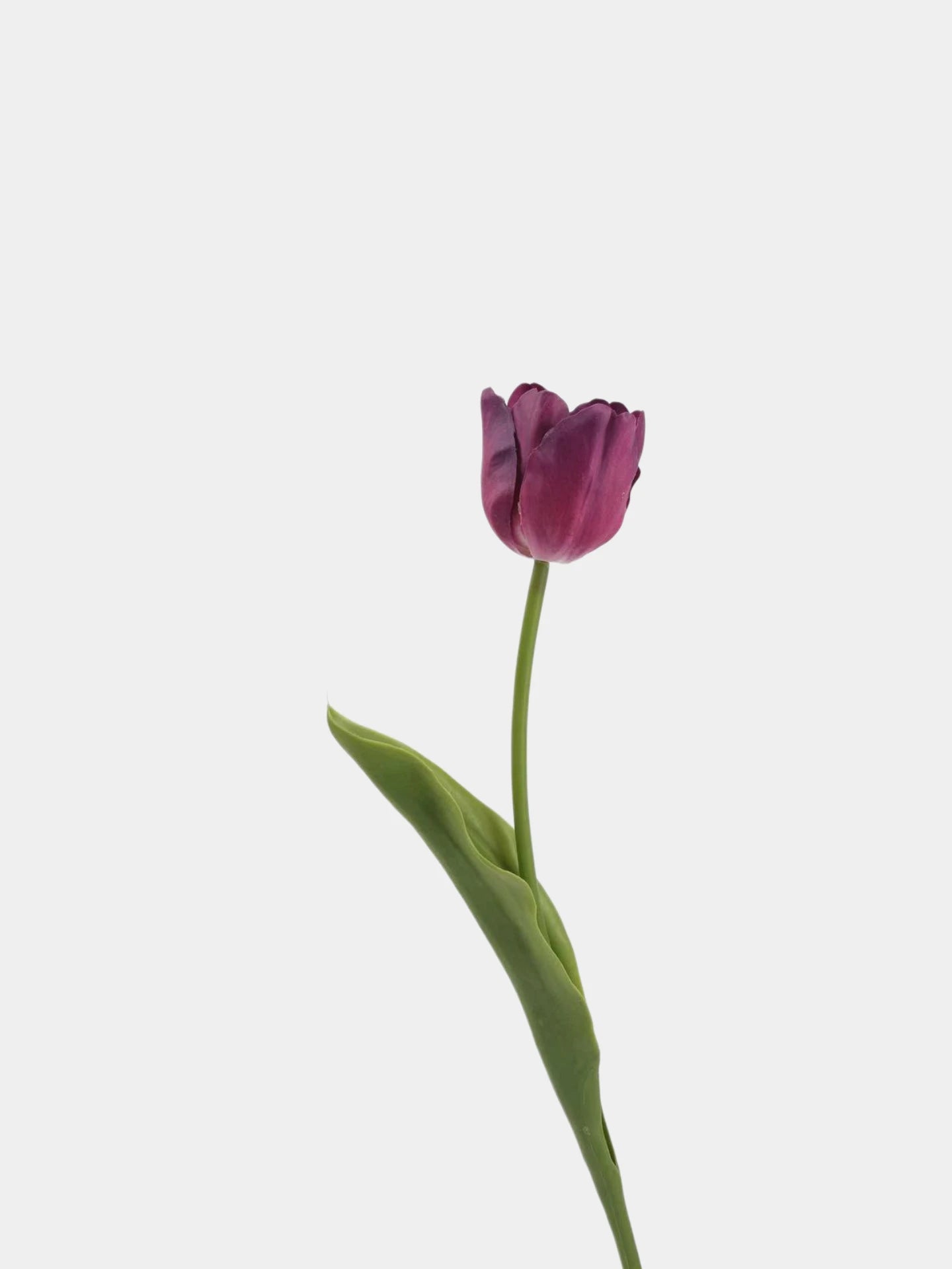 Real Touch Petite Tulip Flower Stem – 17"/42cm