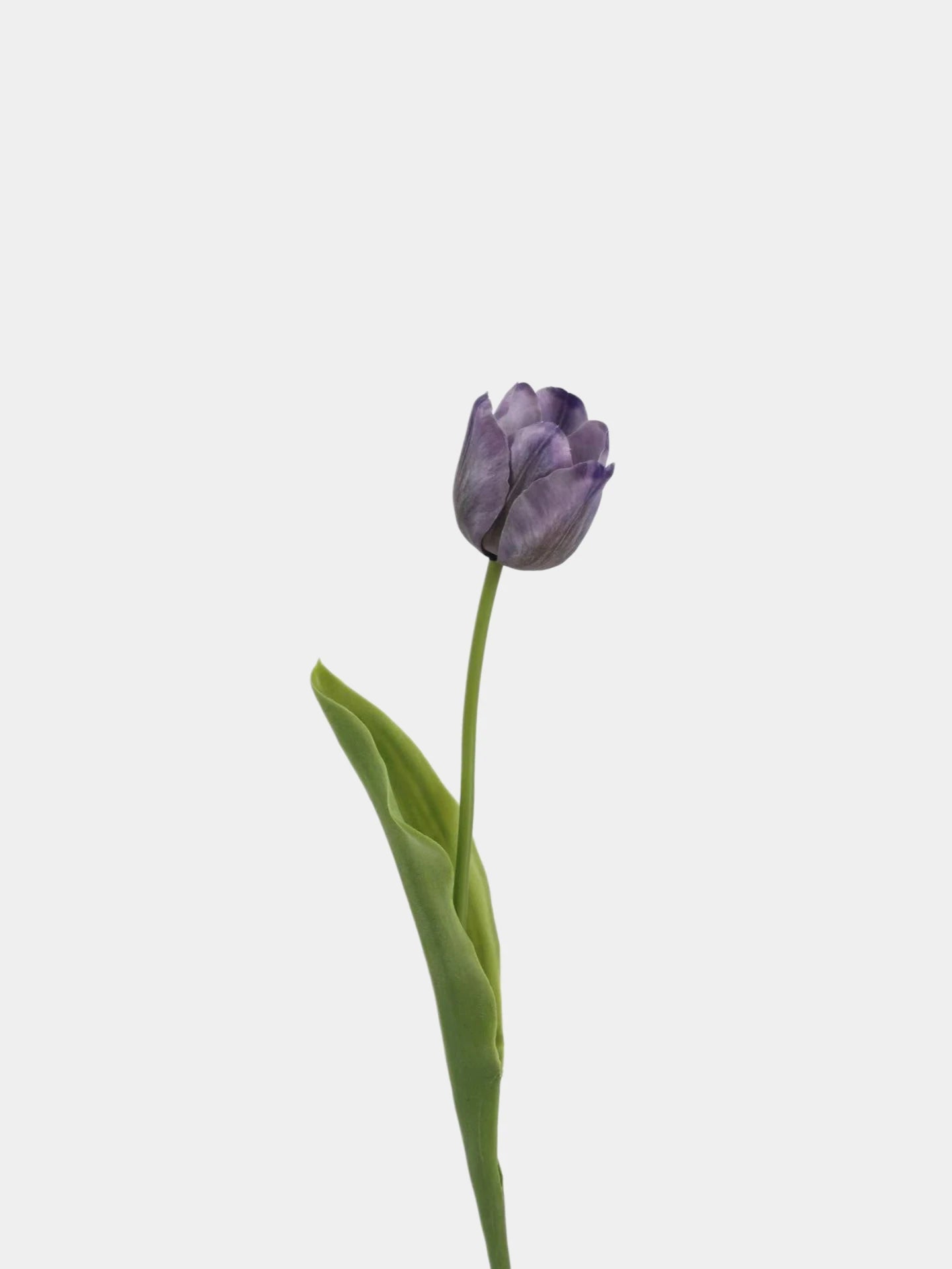 Real Touch Petite Tulip Flower Stem – 17"/42cm