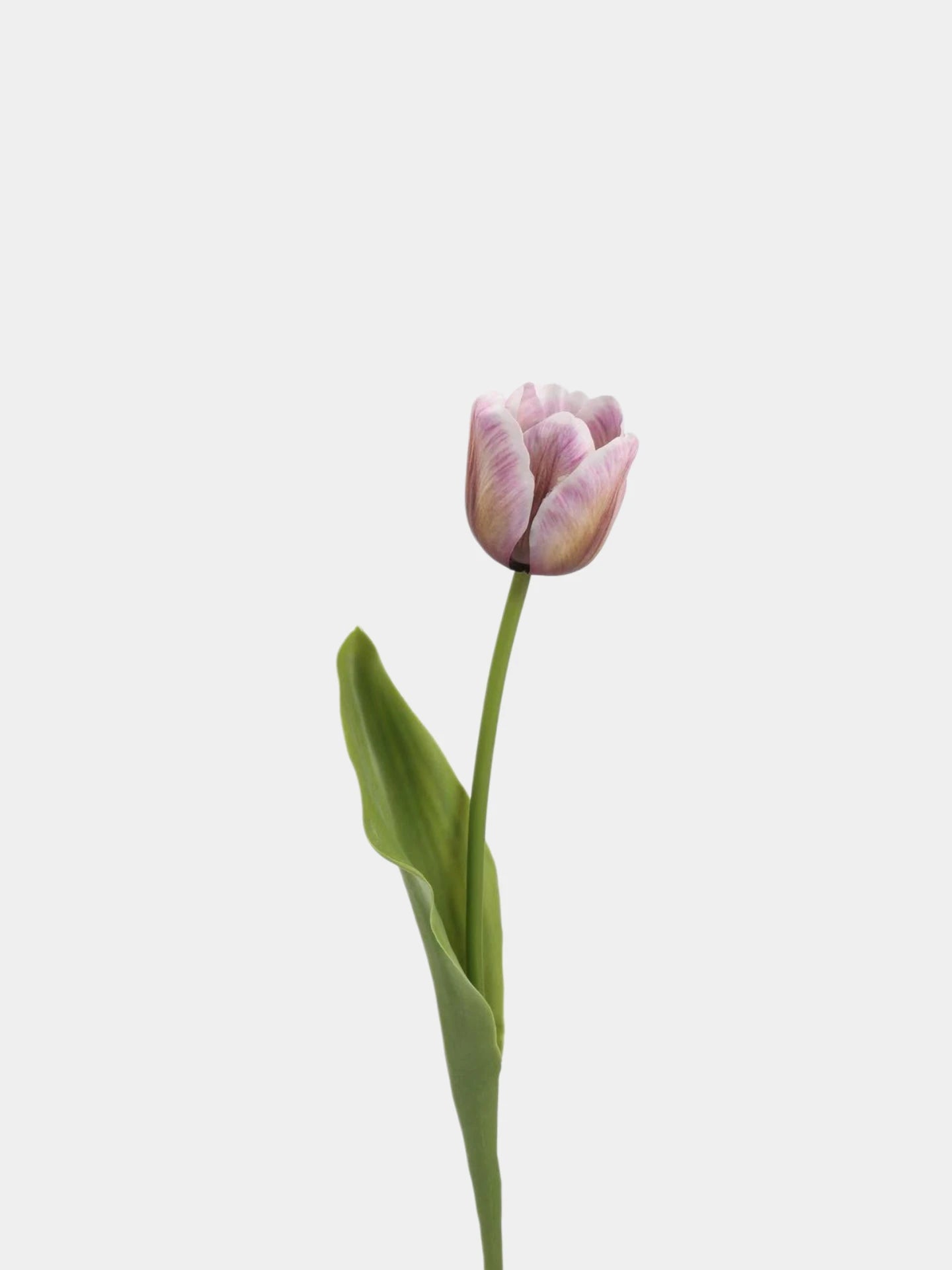 Real Touch Petite Tulip Flower Stem – 17"/42cm