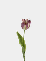 Real Touch Petite Tulip Flower Stem – 17"/42cm