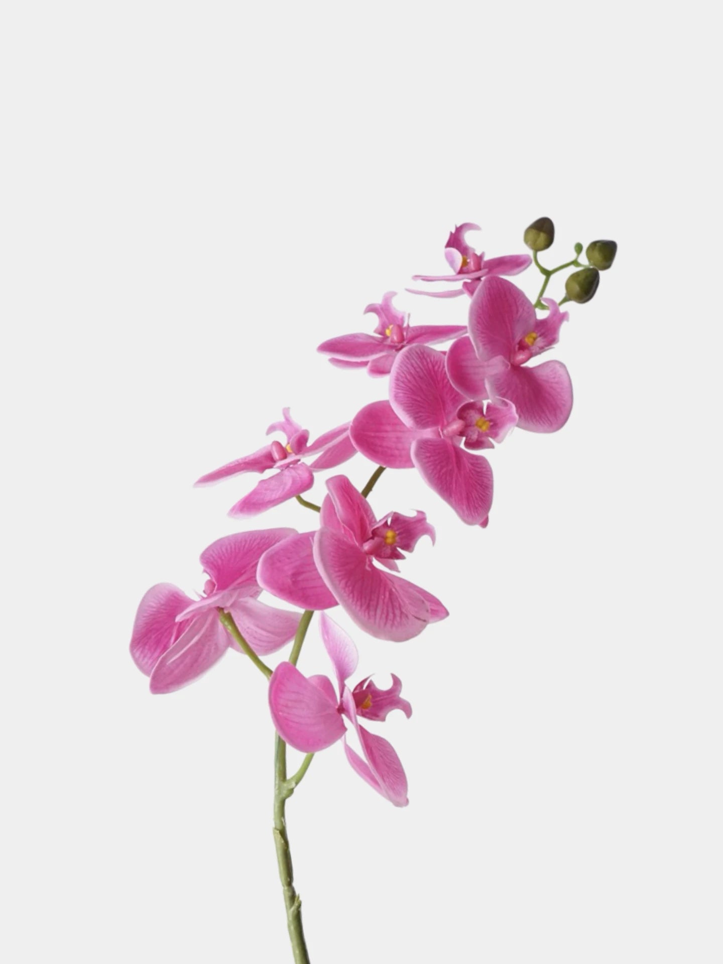 Real Touch Phalaenopsis Moth Orchid Stem– 31 "