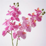 Real Touch Phalaenopsis Moth Orchid Stem– 31 "