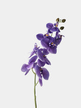 Real Touch Phalaenopsis Moth Orchid Stem– 31 "