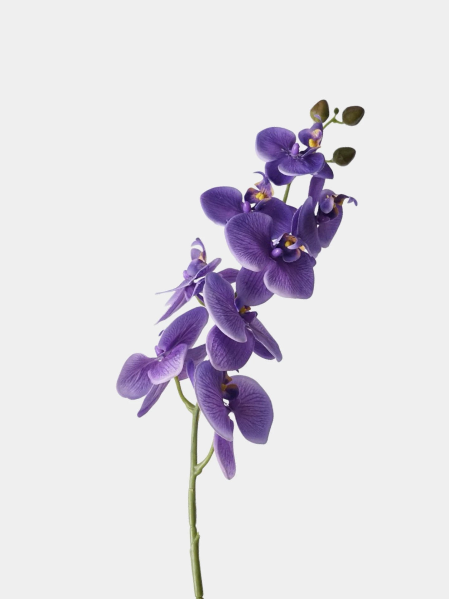 Real Touch Phalaenopsis Moth Orchid Stem– 31 "