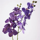Real Touch Phalaenopsis Moth Orchid Stem– 31 "