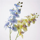 Real Touch Phalaenopsis Moth Orchid Stem– 31 "
