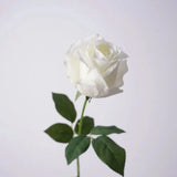 Real Touch Pink Lady Rose Stem  –25"