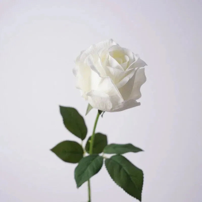 Real Touch Pink Lady Rose Stem  –25"