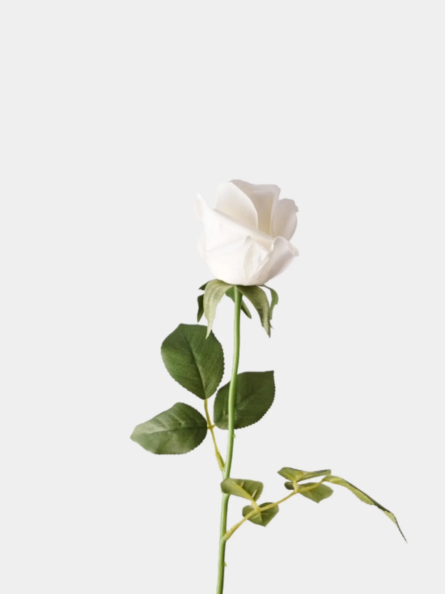 Real Touch Pink Lady Rose Stem  –25"