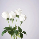 Real Touch Pink Lady Rose Stem  –25"