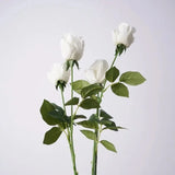 Real Touch Pink Lady Rose Stem  –25"