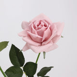 Echte Rosenstiel – 63,5 cm