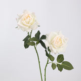 Echte Rosenstiel – 63,5 cm