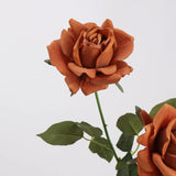 Echte Rosenstiel – 63,5 cm